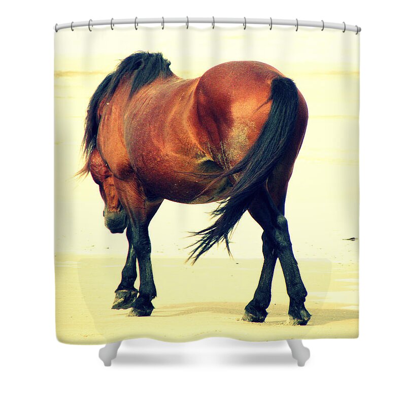 Wild Spanish Mustang Shower Curtain featuring the photograph A beach stroll by Kim Galluzzo