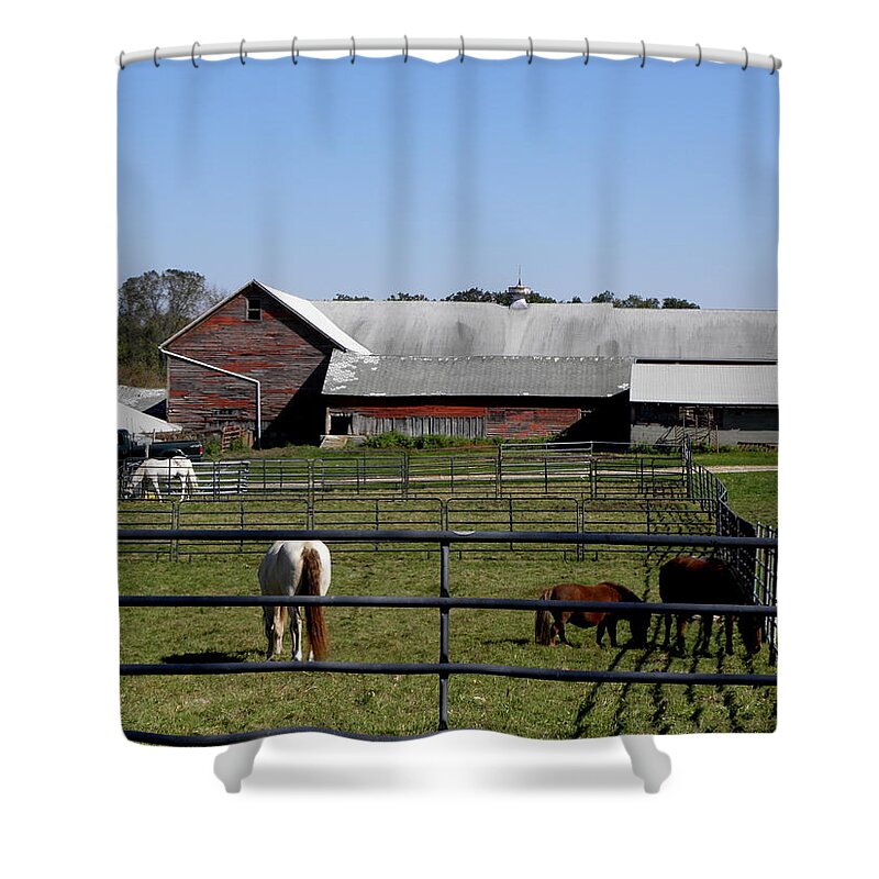 Graze Shower Curtain featuring the photograph A Beautiful Fall Day For A Graze by Kim Galluzzo