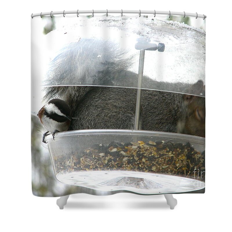 Wildlife Shower Curtain featuring the photograph A Bit Crowded by Rory Siegel