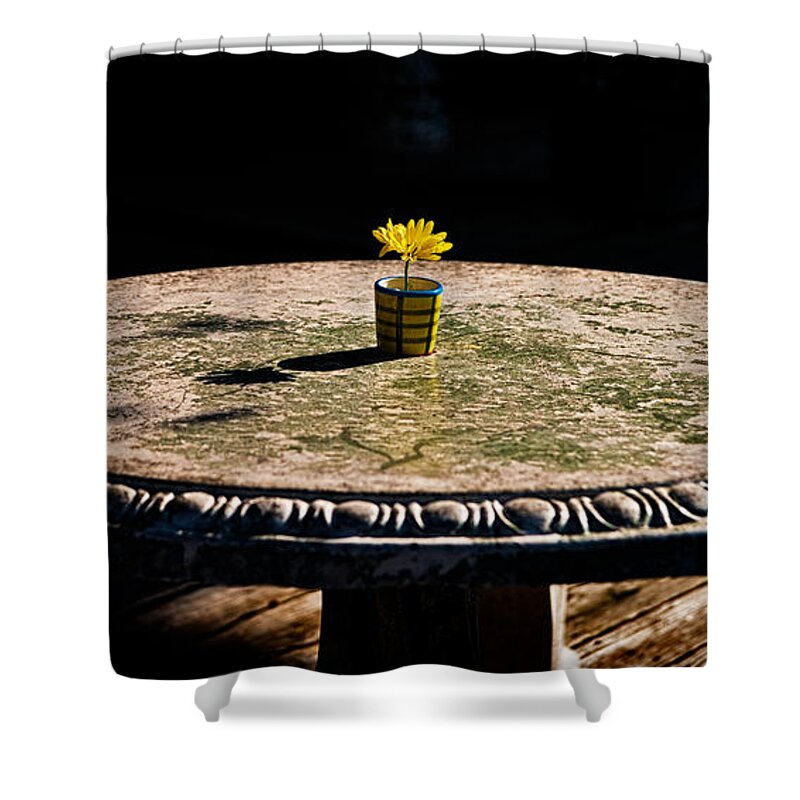 Secluded Shower Curtain featuring the photograph A Bright Spot by Christopher Holmes