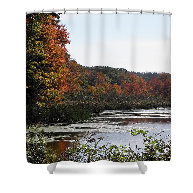 Fall Shower Curtain featuring the photograph A Curve Of Color by Kim Galluzzo Wozniak