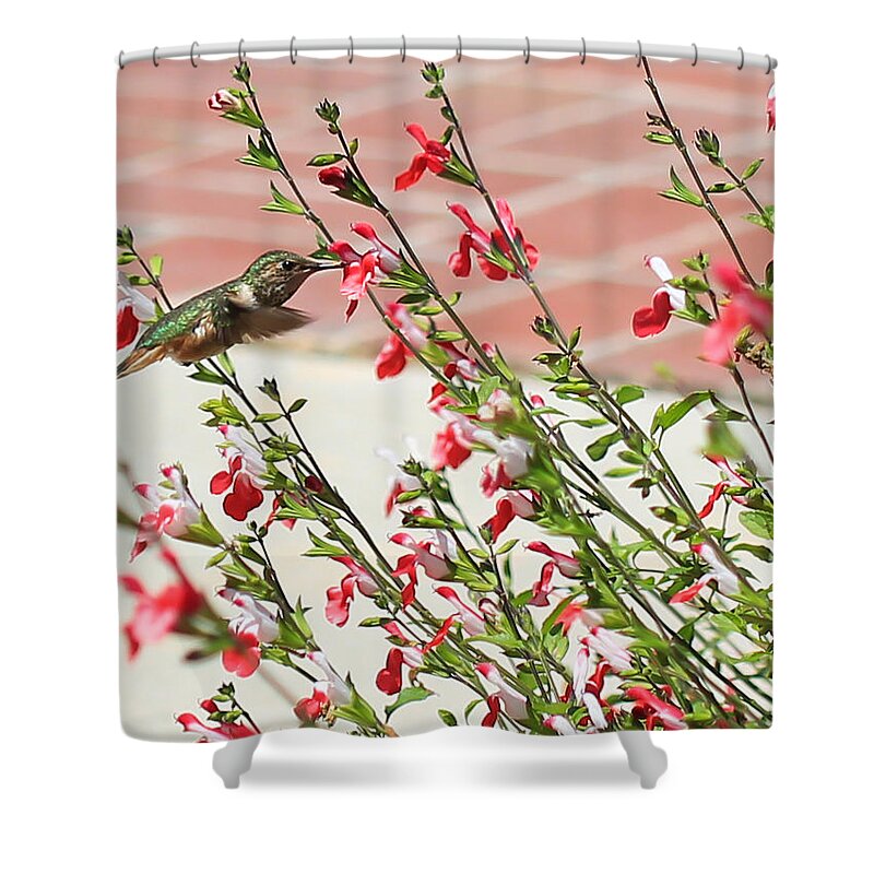 Red Shower Curtain featuring the photograph A Garden Delight by Heidi Smith