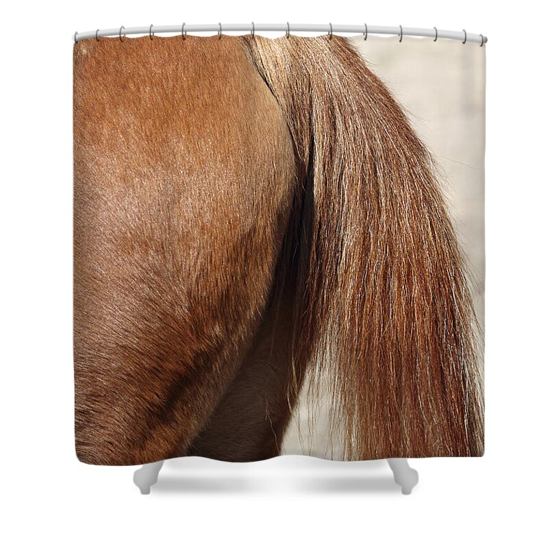 Horse Shower Curtain featuring the photograph A Horse's Ass by John Van Decker