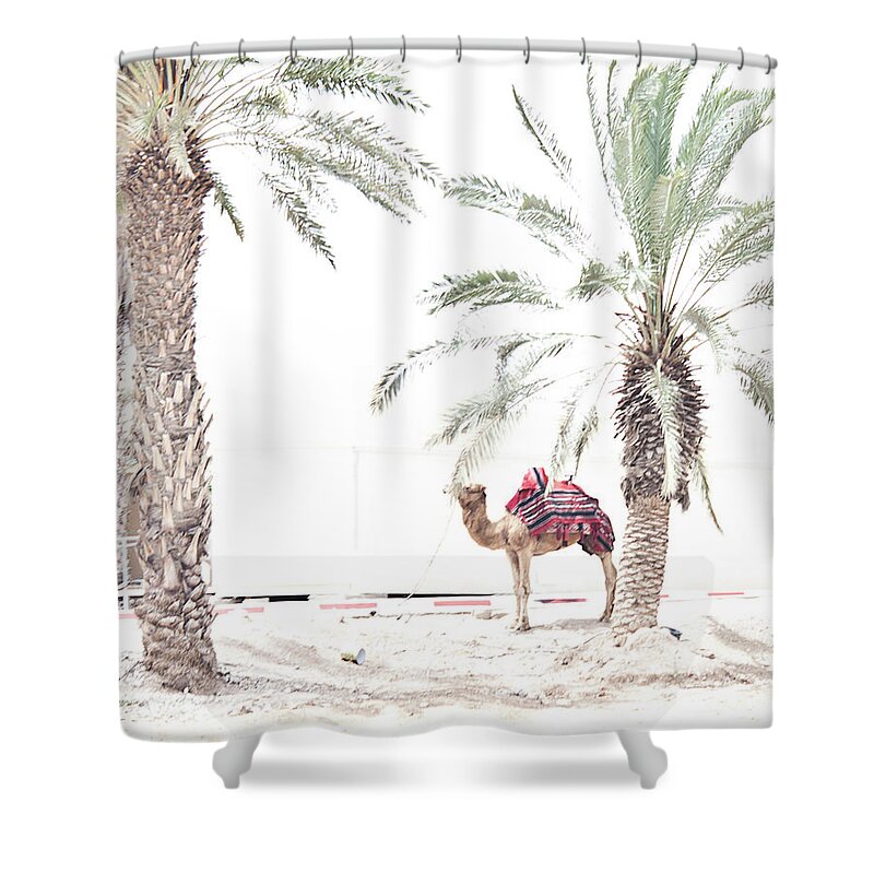 Endre Shower Curtain featuring the photograph A Hot Day In The Negev Desert by Endre Balogh