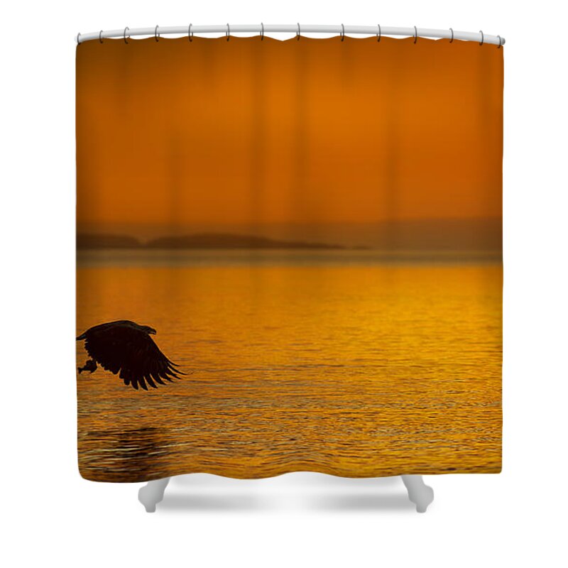Sunset Shower Curtain featuring the photograph A Late Supper by Andy Astbury