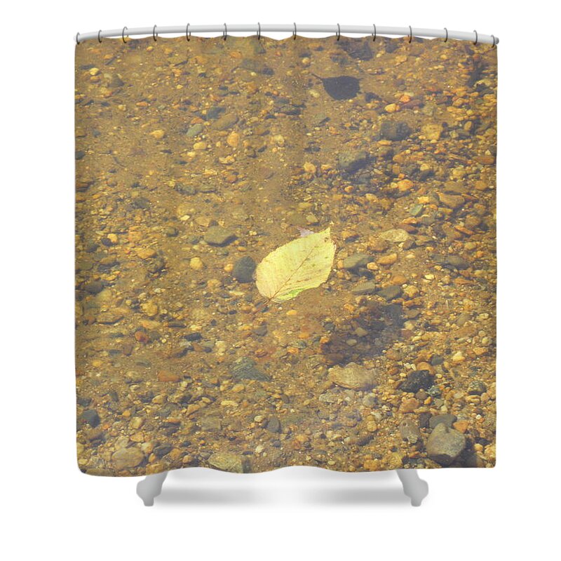 Leaf Shower Curtain featuring the photograph A Lonely Floater by Kim Galluzzo Wozniak