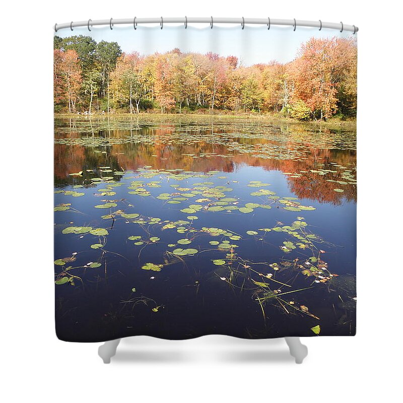Pond Shower Curtain featuring the photograph A Pond Of Reflective Beauty by Kim Galluzzo