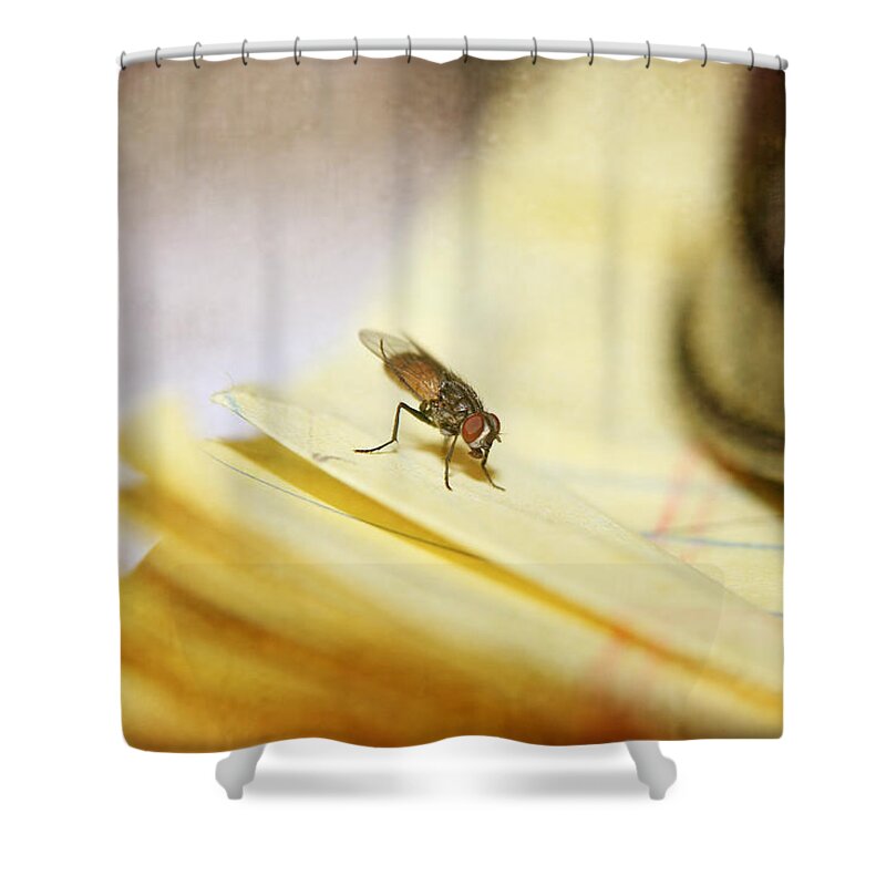 Fly Shower Curtain featuring the photograph A Red Eyes Fly on the Yellow Paper by Ester McGuire