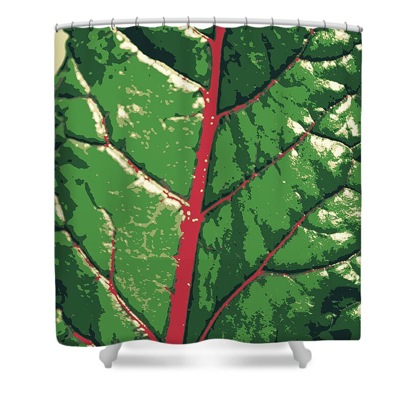 Leaf Shower Curtain featuring the photograph A River Runs Through It by Diane montana Jansson