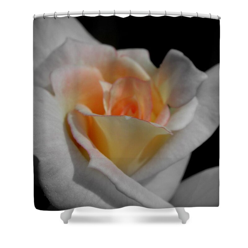 Pink Shower Curtain featuring the photograph A Slight Glow by Kim Galluzzo