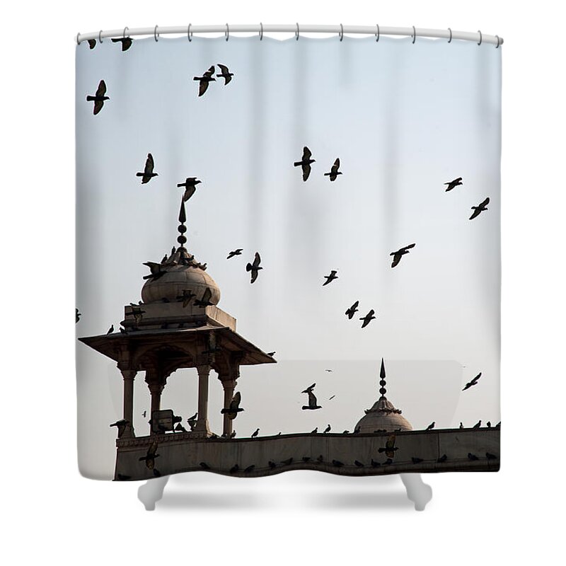 Delhi Shower Curtain featuring the photograph A whole flock of pigeons on the top of the ramparts of the Red Fort in New Delhi by Ashish Agarwal
