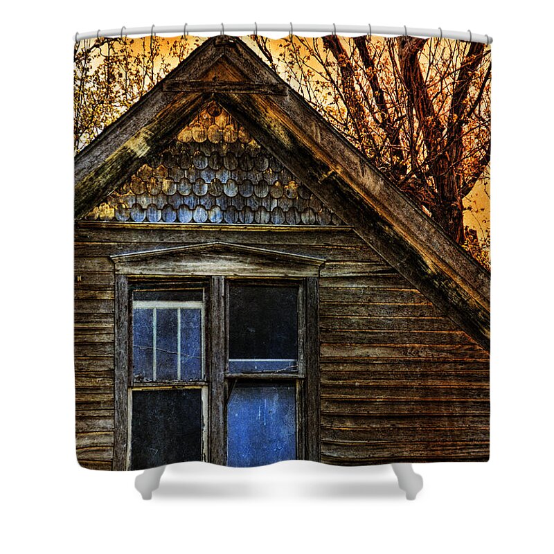 Abandoned Shower Curtain featuring the photograph Abandoned Old House by Jill Battaglia