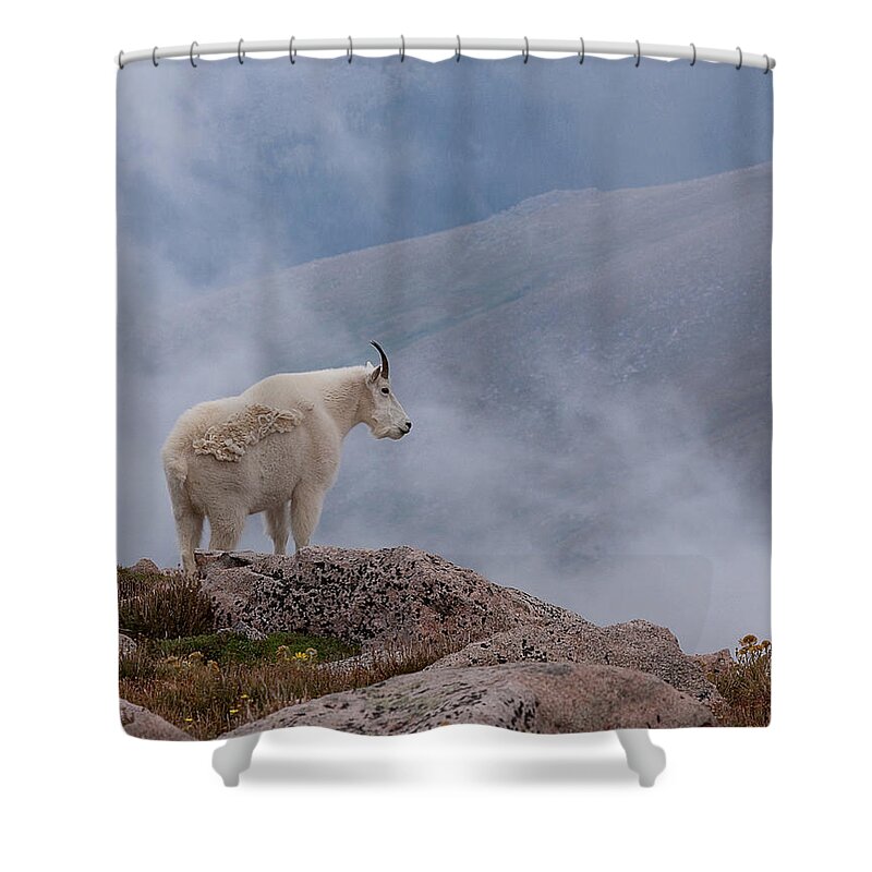 Billie Goat Shower Curtain featuring the photograph Above the Clouds by Jim Garrison