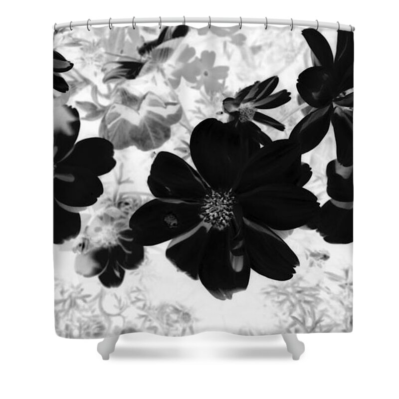 Abstract Photography Shower Curtain featuring the photograph Abstract Flowers 4 by Kim Galluzzo Wozniak