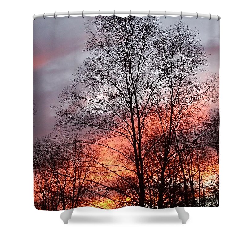 Sunset Shower Curtain featuring the photograph Adding Life To What Has Passed by Kim Galluzzo
