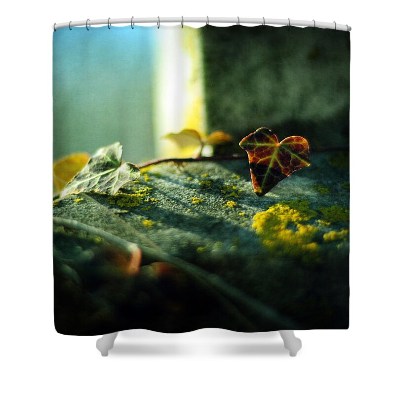 Gravestone Shower Curtain featuring the photograph After Life by Rebecca Sherman