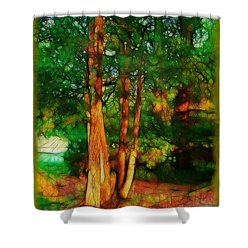 Trees Shower Curtain featuring the photograph Afternoon Delight by Judi Bagwell