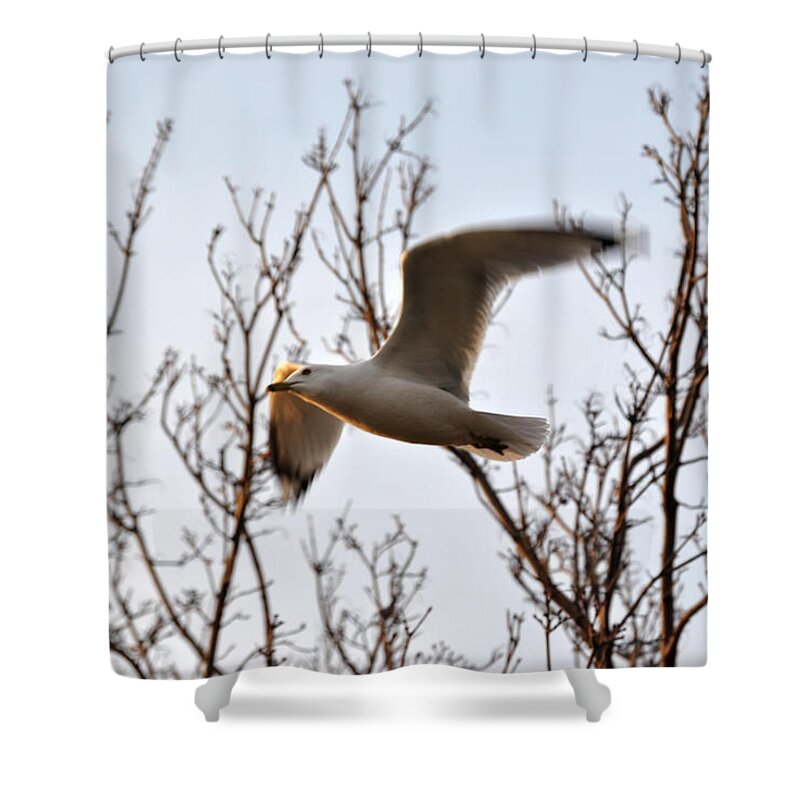  Shower Curtain featuring the photograph Aim High Expand Ur Vision by Michael Frank Jr