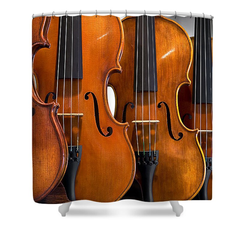Violin Shower Curtain featuring the photograph All In A Row by Endre Balogh