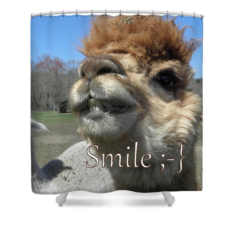 Alpaca Shower Curtain featuring the photograph Alpaca Smile by Kim Galluzzo Wozniak