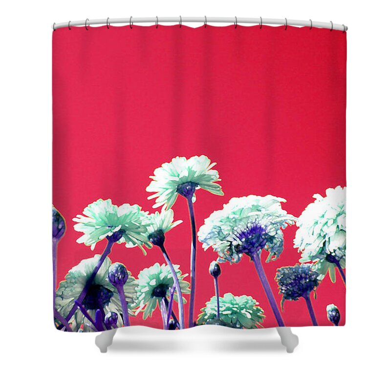 Altered Shower Curtain featuring the photograph Altered Flower 14 by Andrew Hewett