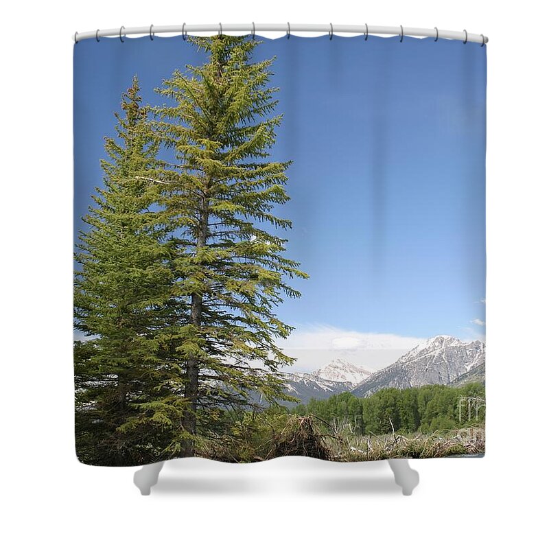 Grand Tetons Shower Curtain featuring the photograph America The Beautiful by Living Color Photography Lorraine Lynch