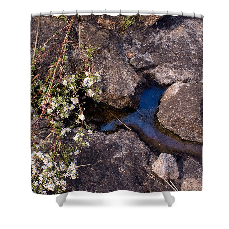 Trans Canada Trail Shower Curtain featuring the photograph Another World III by Jo Smoley