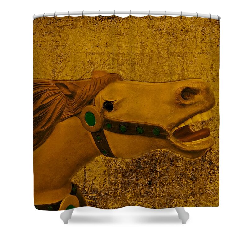 Carousel Shower Curtain featuring the photograph Antique Carousel Appaloosa Horse by David Dehner