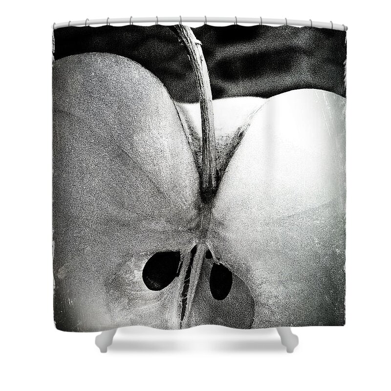 Apple 3 Shower Curtain featuring the photograph Apple 3 by Skip Hunt