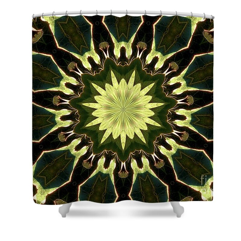 Kaleidoscope Shower Curtain featuring the digital art Apple Kaleidoscope B by Roxy Riou