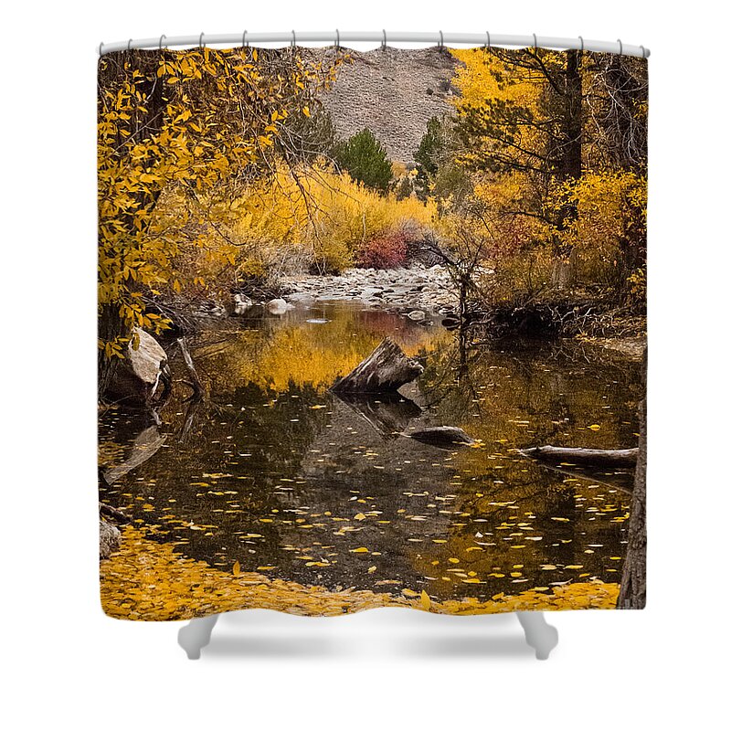 Aspen Leaves Shower Curtain featuring the photograph Aspen Leaves on Stream by L J Oakes