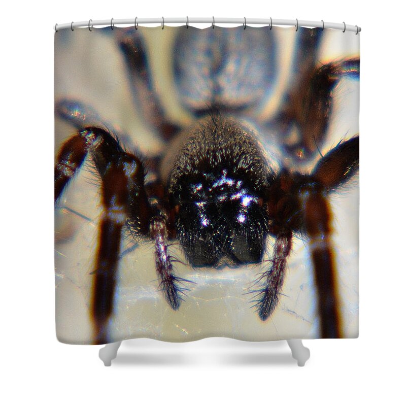 Spider Shower Curtain featuring the photograph Australian Face by Chriss Pagani