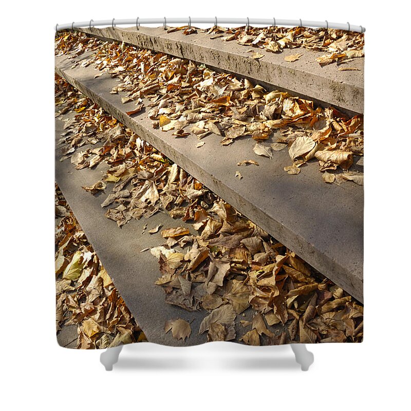 Fall Shower Curtain featuring the photograph Autumn - foliage on stairs by Matthias Hauser