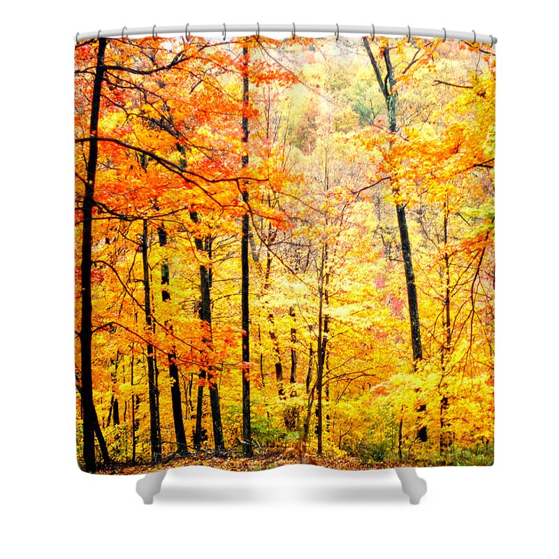 Autumn Shower Curtain featuring the photograph Autumn Forest by Randall Branham