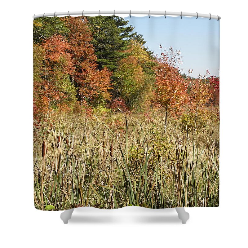 Autumn Shower Curtain featuring the photograph Autumn in New England by Kim Galluzzo Wozniak