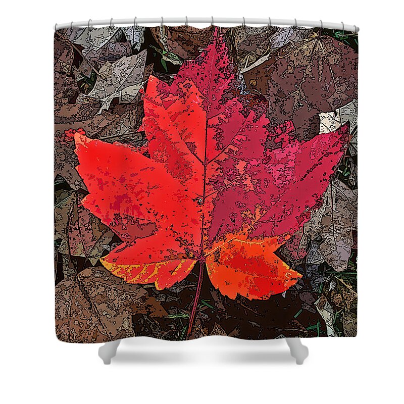 Nature Shower Curtain featuring the photograph Autumn Leaf art IV by Debbie Portwood