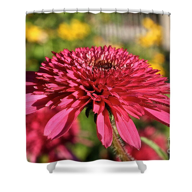 Outdoors Shower Curtain featuring the photograph Autumn Pink by Susan Herber