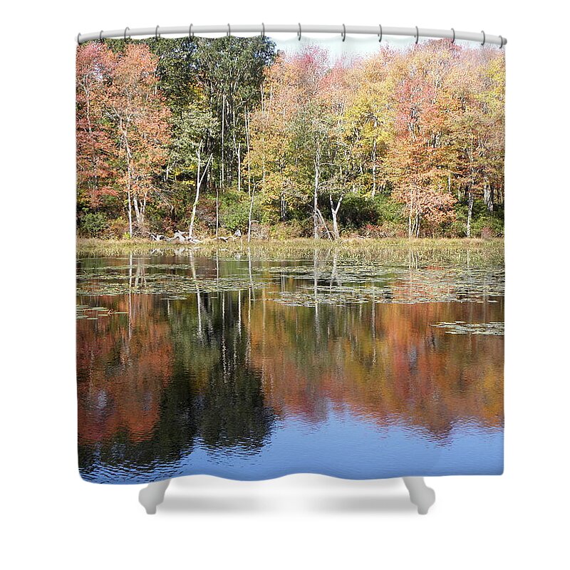 Autumn Shower Curtain featuring the photograph Autumn reflections by Kim Galluzzo