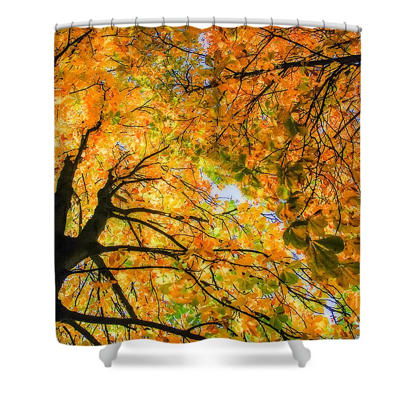 Orange Shower Curtain featuring the photograph Autumn Sky by Hannes Cmarits