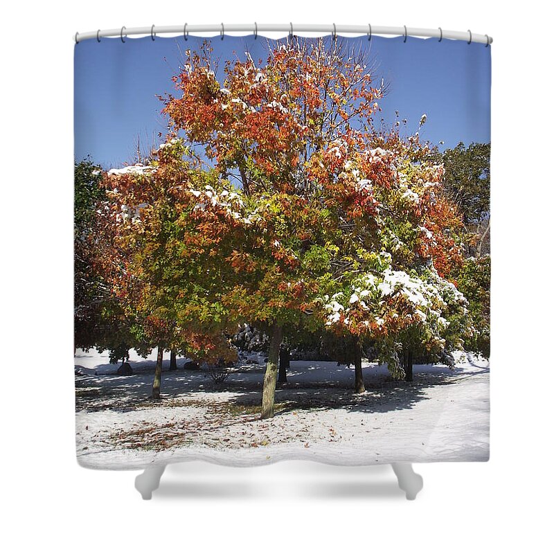Landscape Shower Curtain featuring the photograph Autumn Snow by Michelle Welles