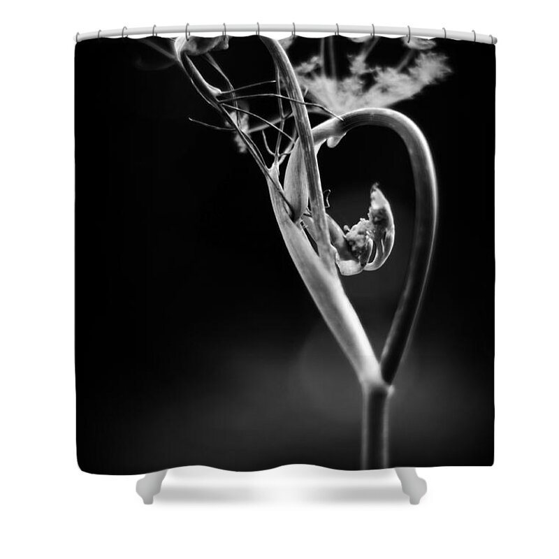 B Shower Curtain featuring the photograph B is for Bronze Fennel by Rebecca Sherman