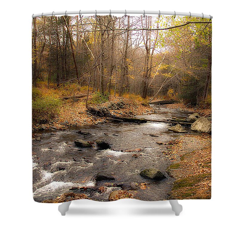 Stream Shower Curtain featuring the photograph Babbling Brook in Autumn by Cathy Kovarik