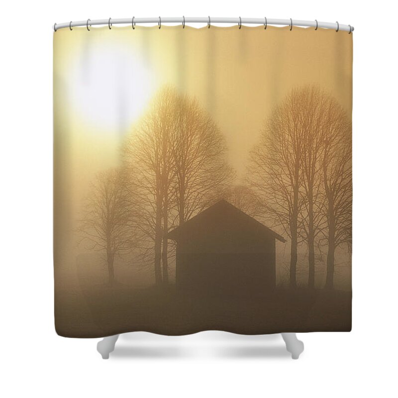 Mp Shower Curtain featuring the photograph Barn, Trees And Sun Shining by Konrad Wothe