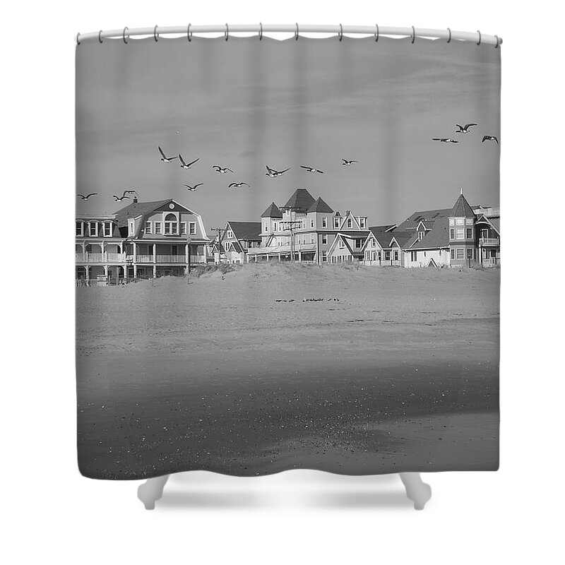 Landscape Shower Curtain featuring the photograph Beach Birds by Joe Burns