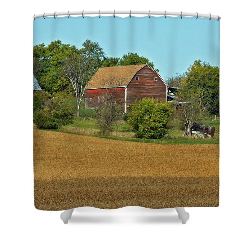 Barns Shower Curtain featuring the photograph Beans Are Ready by Ed Peterson