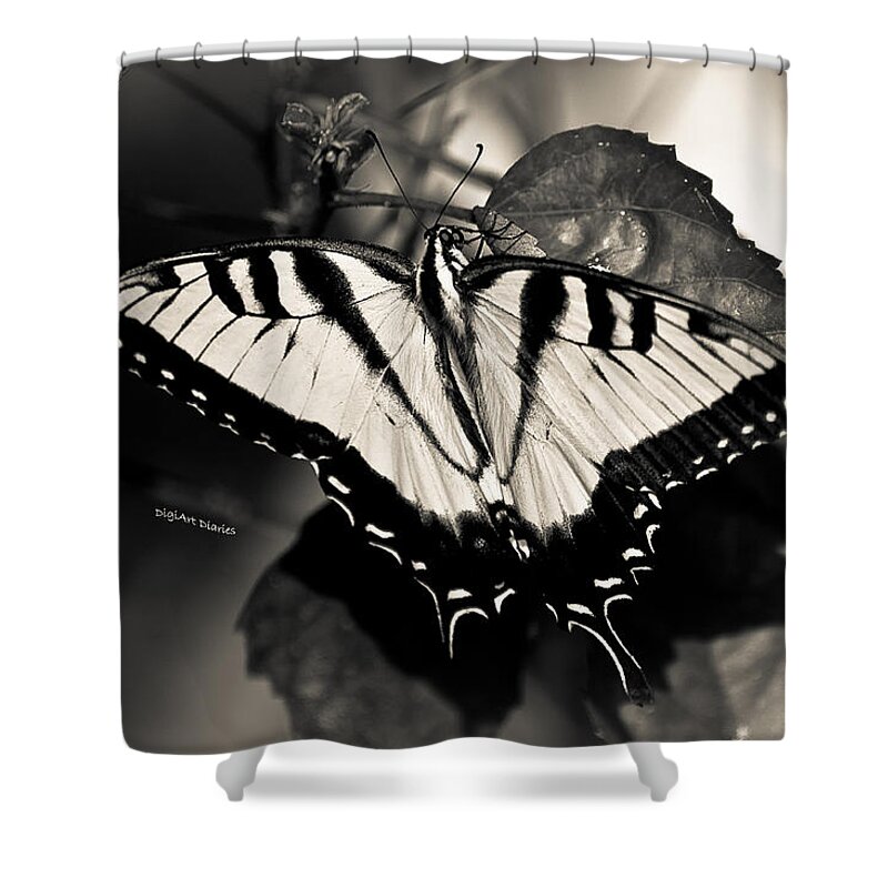 Butterfly Shower Curtain featuring the photograph Beauty Without Color by DigiArt Diaries by Vicky B Fuller