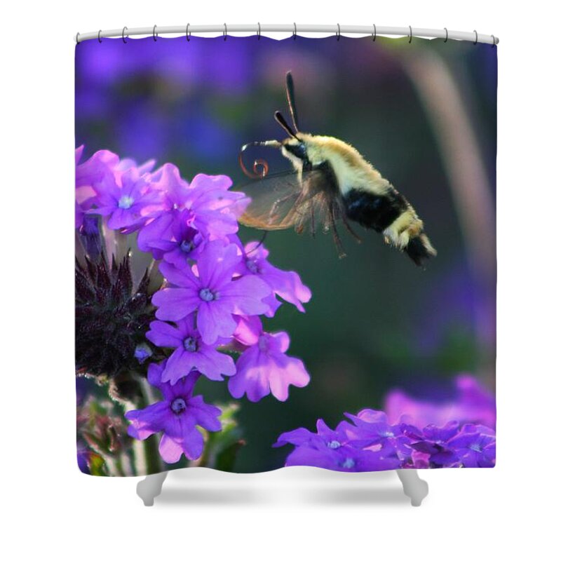 Bee Shower Curtain featuring the photograph Bee Fur-eal by Phil Cappiali Jr