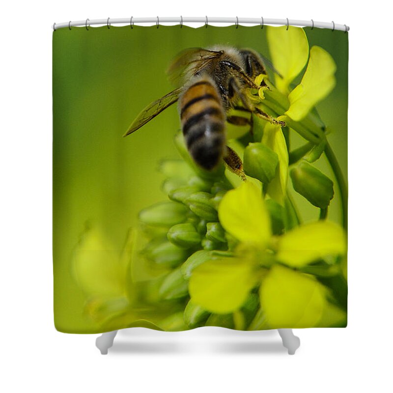 Background Shower Curtain featuring the photograph Bee on a yellow background by Michael Goyberg