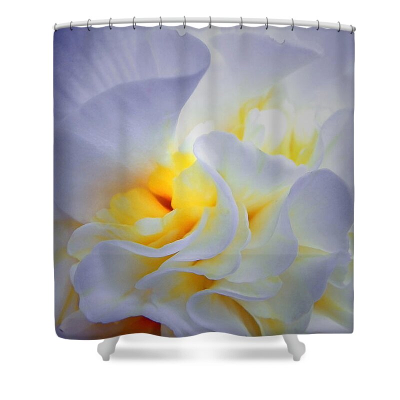 Begonia Shower Curtain featuring the photograph Begonia Shadows by Lianne Schneider