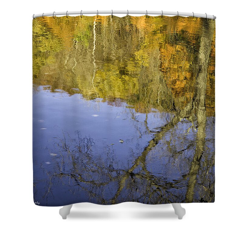 Landscape Shower Curtain featuring the photograph Birches by Fran Gallogly